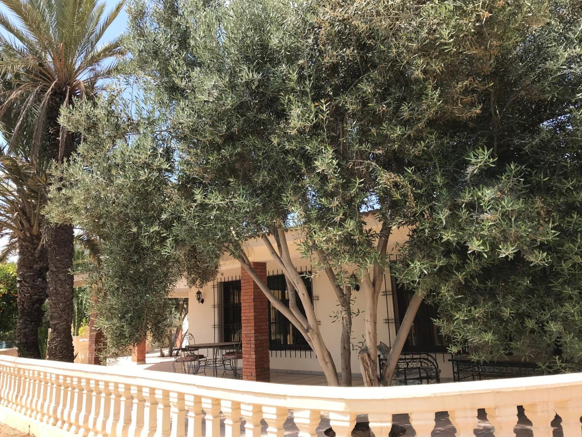 Tiguimi Vacances - Oasis Villas, Cadre Naturel Et Vue Montagne Agadir Bagian luar foto
