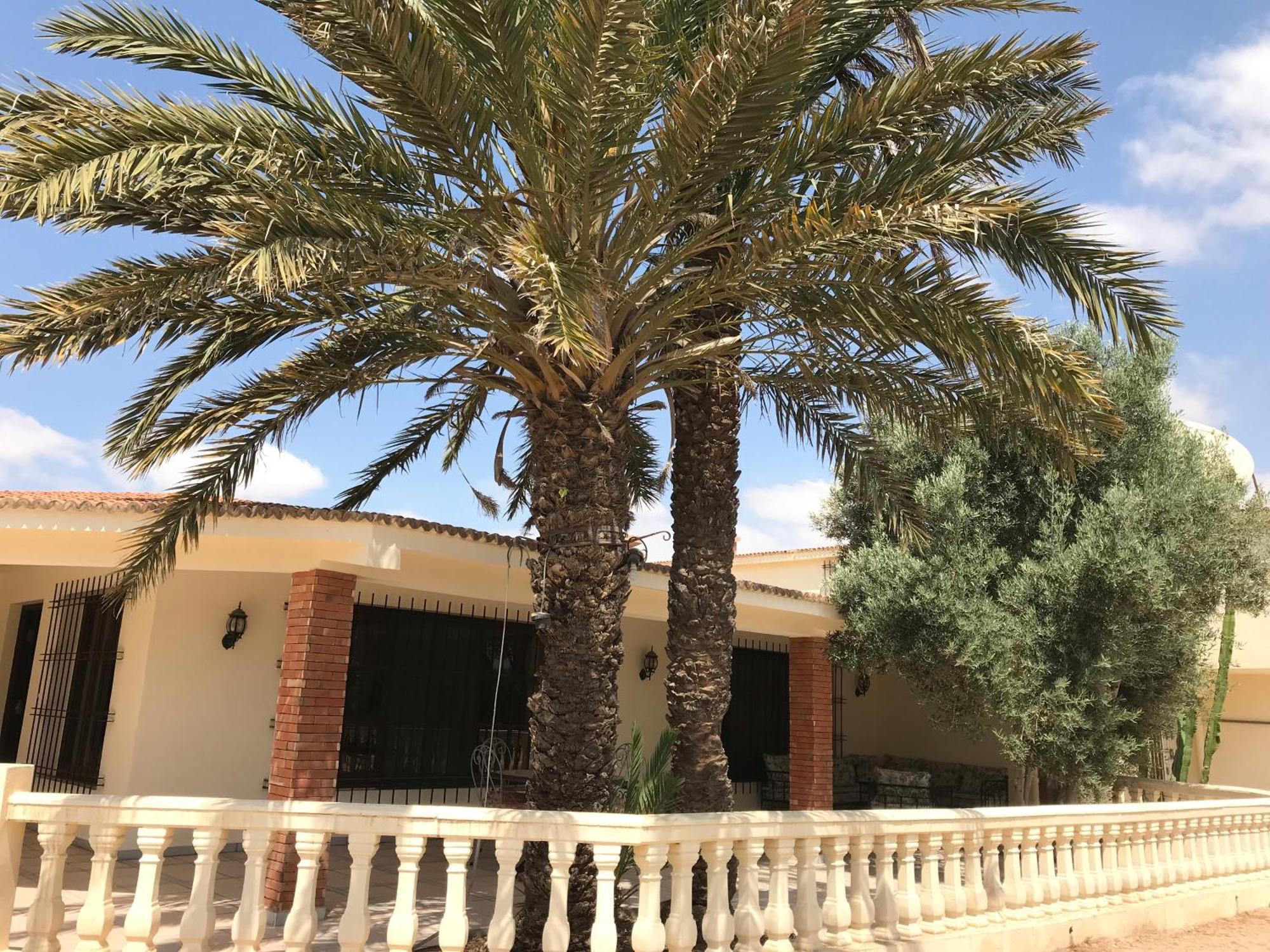 Tiguimi Vacances - Oasis Villas, Cadre Naturel Et Vue Montagne Agadir Bagian luar foto